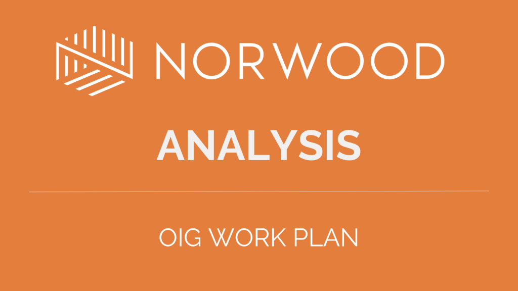 oig work plan