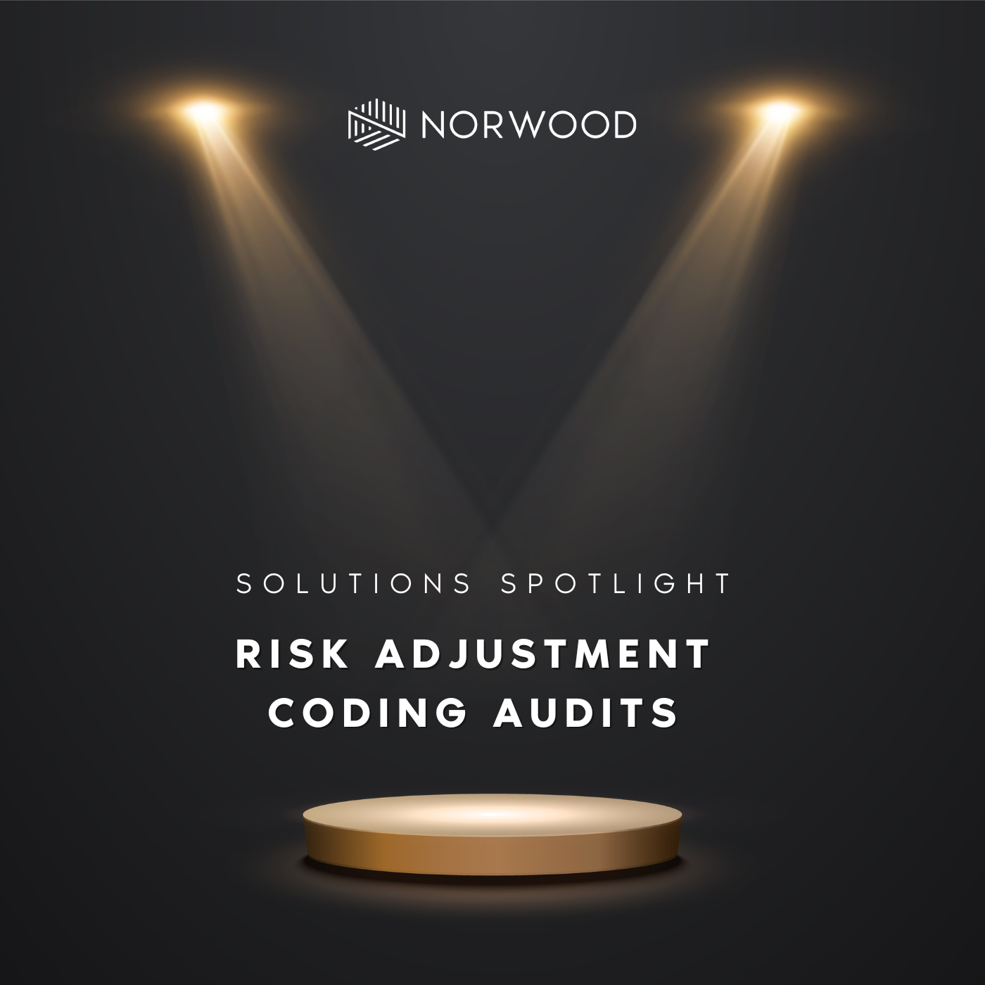Risk adjustment coding audits risk adjustment