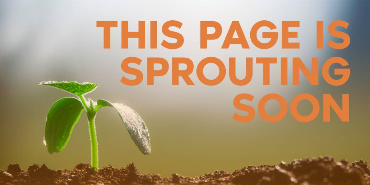 Looking for a coding, CDI, or registry job Pardon our appearance during construction, but WE’RE HIRING! Submit your resume, or email your resume to info@norwood.com. Follow us on LinkedIn for the (1)